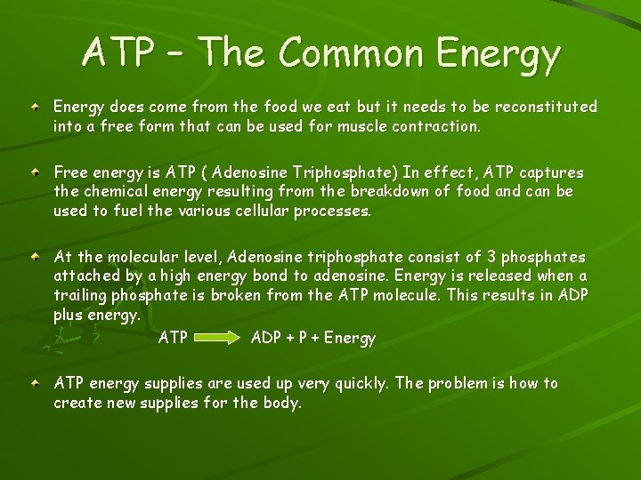 ATP – The Common Energy does come from the food we eat but it