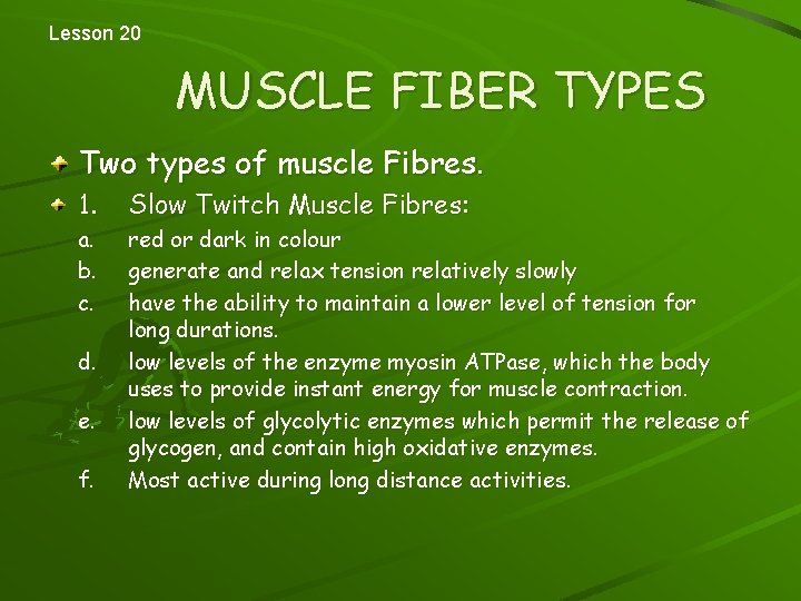 Lesson 20 MUSCLE FIBER TYPES Two types of muscle Fibres. 1. a. b. c.