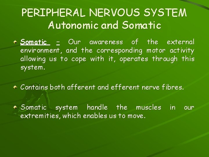 PERIPHERAL NERVOUS SYSTEM Autonomic and Somatic – Our awareness of the external environment, and