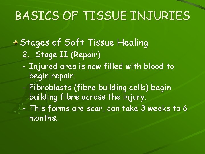 BASICS OF TISSUE INJURIES Stages of Soft Tissue Healing 2. Stage II (Repair) -