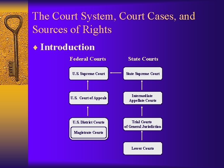 The Court System, Court Cases, and Sources of Rights ¨ Introduction Federal Courts State