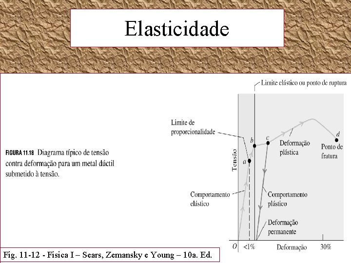 Elasticidade Fig. 11 -12 - Fisica I – Sears, Zemansky e Young – 10