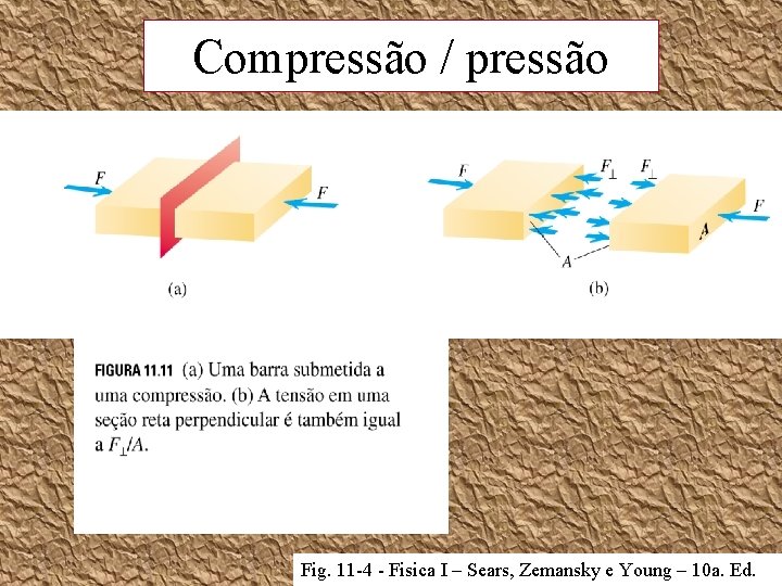 Compressão / pressão Fig. 11 -4 - Fisica I – Sears, Zemansky e Young