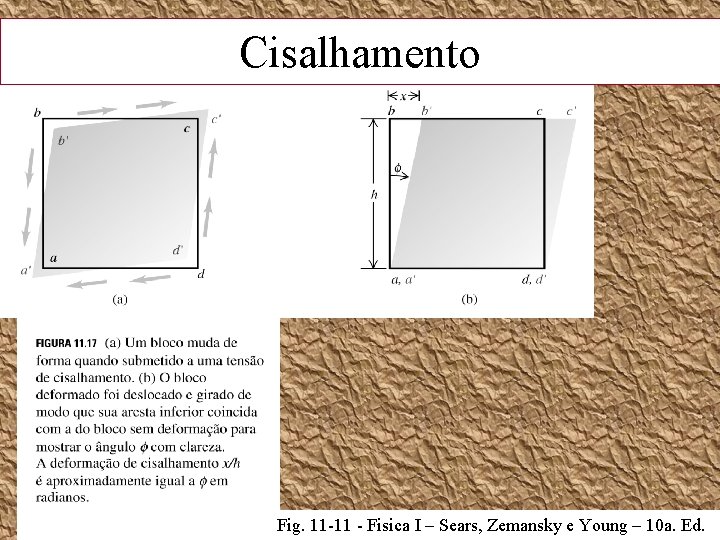 Cisalhamento Fig. 11 -11 - Fisica I – Sears, Zemansky e Young – 10