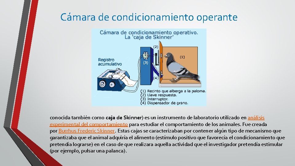 Cámara de condicionamiento operante conocida también como caja de Skinner) es un instrumento de