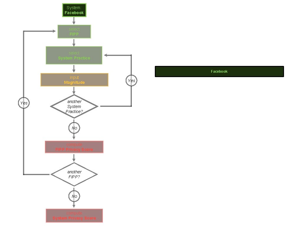 System: Facebook select FIPP select System Practice Facebook input Magnitude Yes another System Practice?