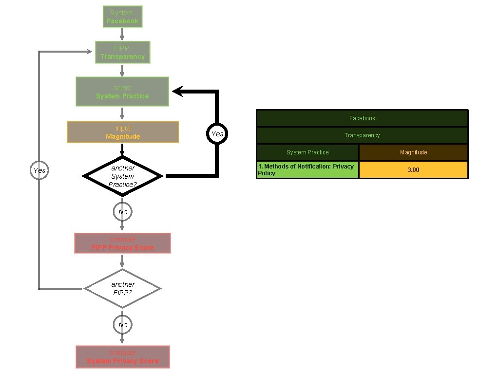 System: Facebook FIPP: Transparency select System Practice Facebook input Magnitude Yes another System Practice?