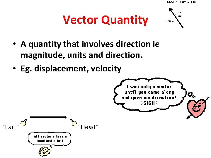 Vector Quantity • A quantity that involves direction ie. has a magnitude, units and