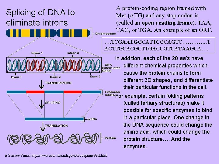 A protein-coding region framed with Met (ATG) and any stop codon is (called an