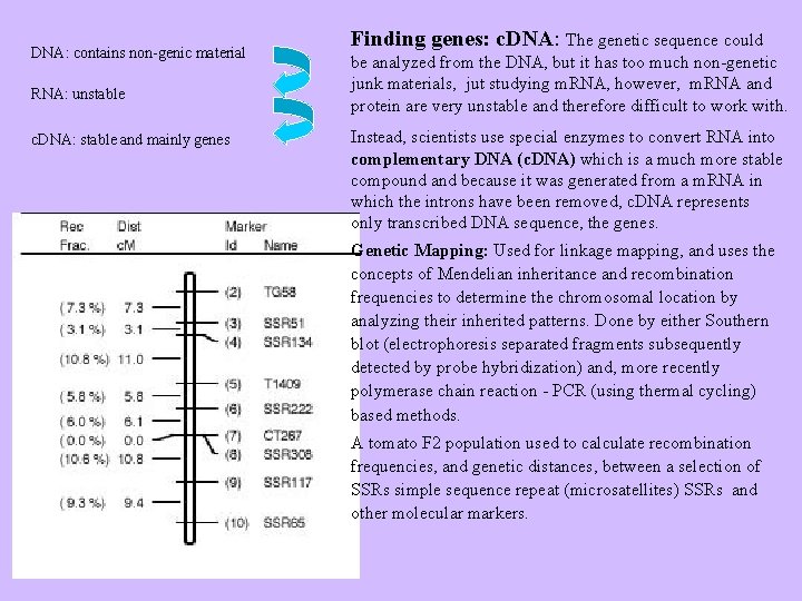 DNA: contains non-genic material RNA: unstable c. DNA: stable and mainly genes Finding genes: