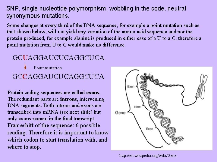 SNP, single nucleotide polymorphism, wobbling in the code, neutral synonymous mutations. Some changes at