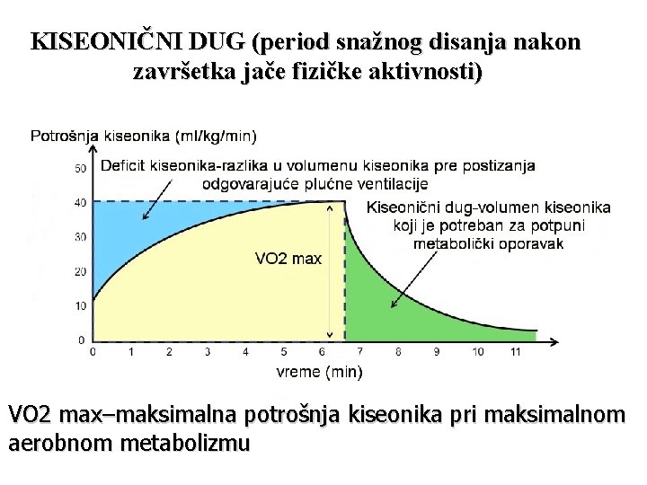 KISEONIČNI DUG (period snažnog disanja nakon završetka jače fizičke aktivnosti) VO 2 max–maksimalna potrošnja