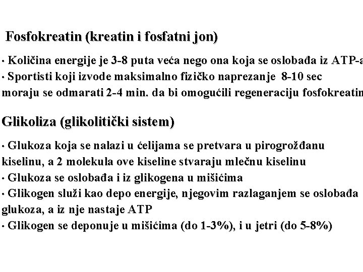 Fosfokreatin (kreatin i fosfatni jon) • Količina energije je 3 -8 puta veća nego