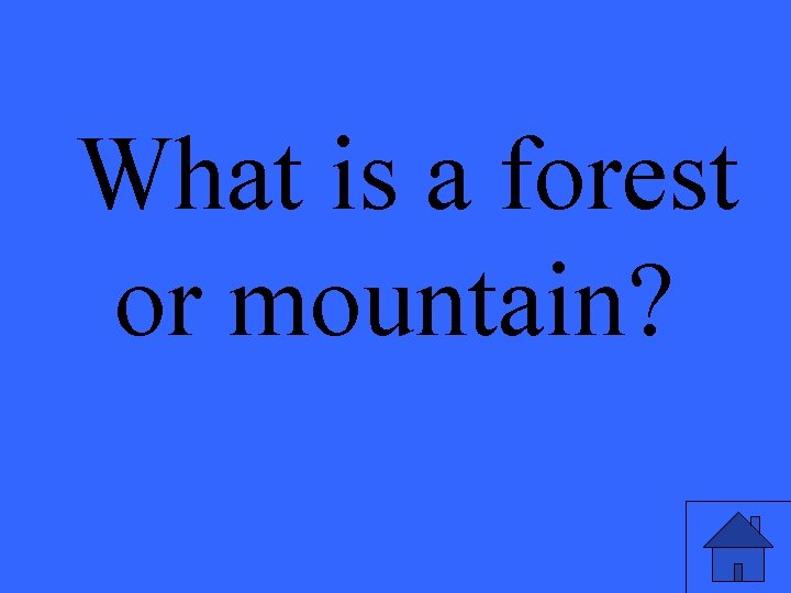 What is a forest or mountain? 