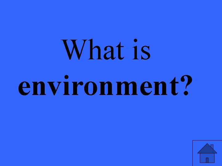 What is environment? 