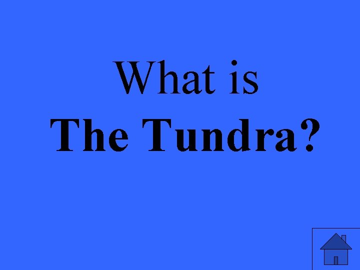What is The Tundra? 