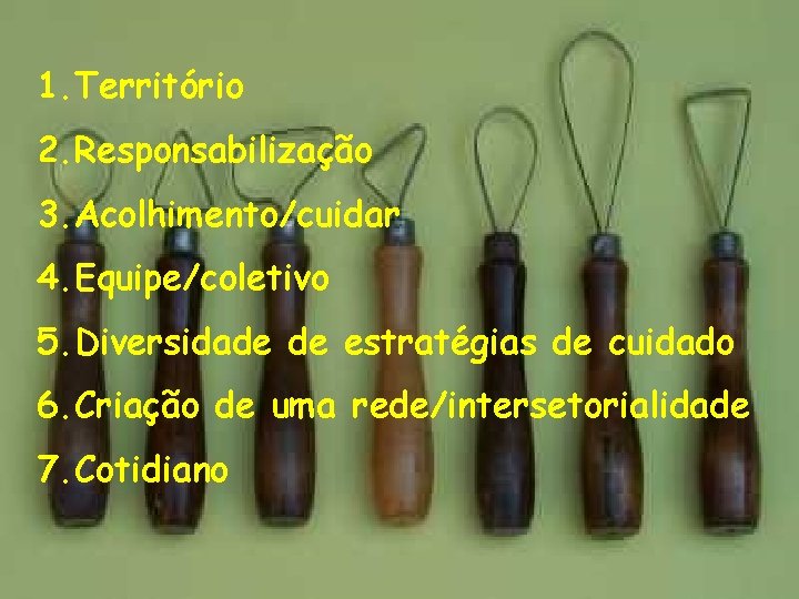 1. Território 2. Responsabilização 3. Acolhimento/cuidar 4. Equipe/coletivo 5. Diversidade de estratégias de cuidado