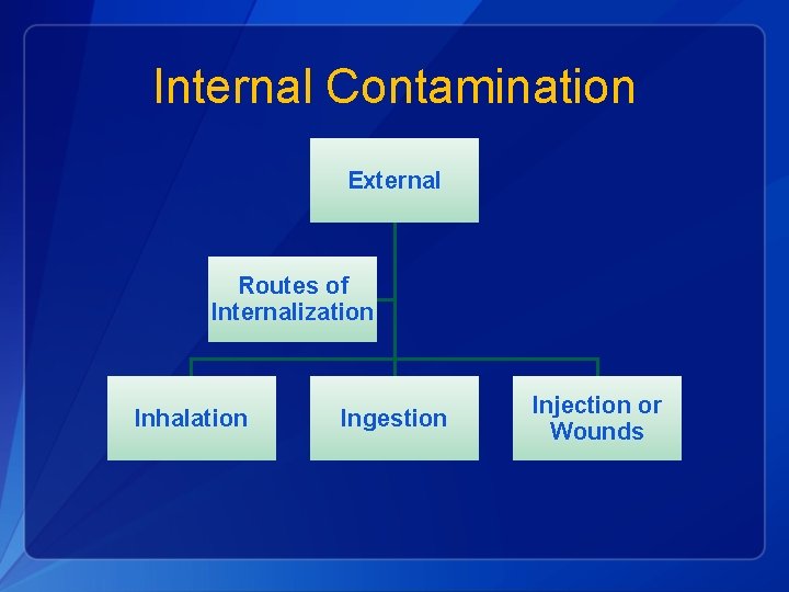 Internal Contamination External Routes of Internalization Inhalation Ingestion Injection or Wounds 