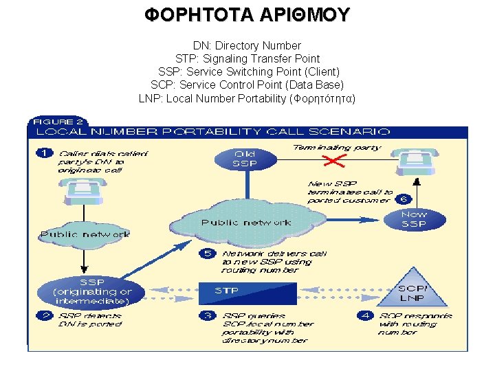 ΦΟΡΗΤΟΤΑ ΑΡΙΘΜΟΥ DN: Directory Number STP: Signaling Transfer Point SSP: Service Switching Point (Client)