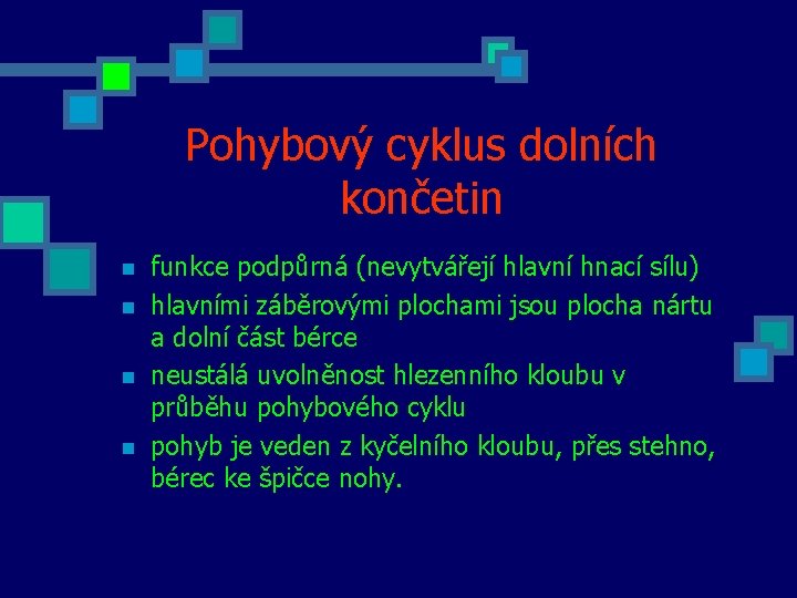 Pohybový cyklus dolních končetin n n funkce podpůrná (nevytvářejí hlavní hnací sílu) hlavními záběrovými