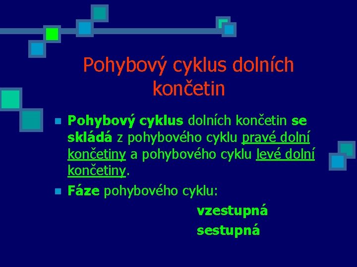 Pohybový cyklus dolních končetin n n Pohybový cyklus dolních končetin se skládá z pohybového