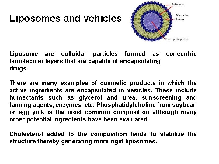 Liposomes and vehicles Liposome are colloidal particles formed as concentric bimolecular layers that are