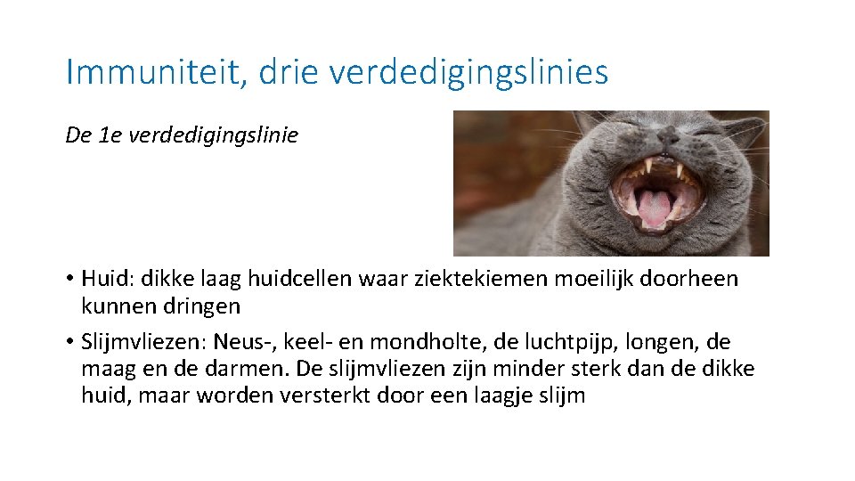 Immuniteit, drie verdedigingslinies De 1 e verdedigingslinie • Huid: dikke laag huidcellen waar ziektekiemen