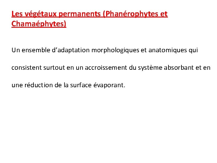Les végétaux permanents (Phanérophytes et Chamaéphytes) Un ensemble d’adaptation morphologiques et anatomiques qui consistent