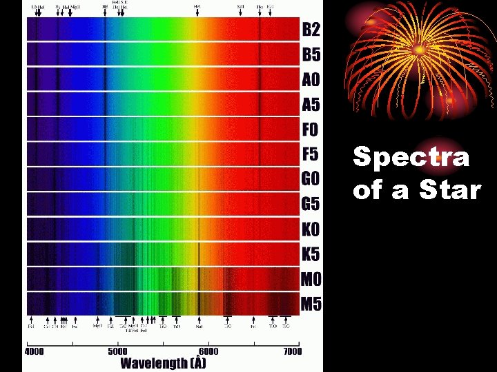 Spectra of a Star 