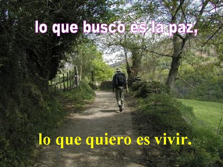 lo que quiero es vivir. lo que quiero es vivir.