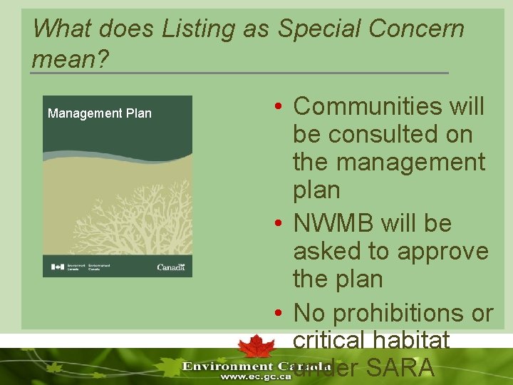 What does Listing as Special Concern mean? Management Plan • Communities will be consulted