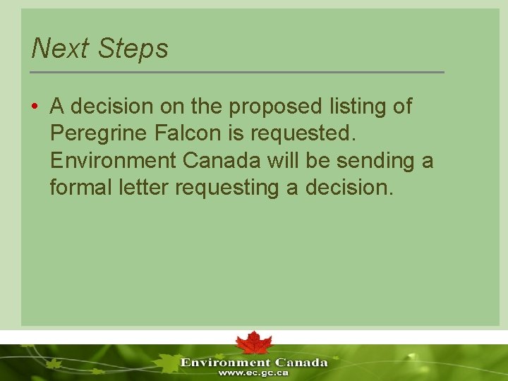 Next Steps • A decision on the proposed listing of Peregrine Falcon is requested.