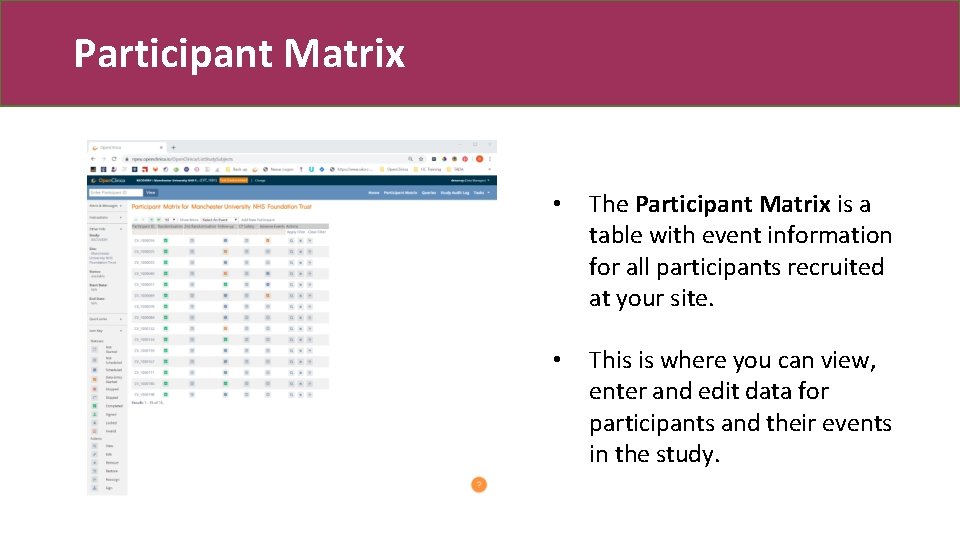 Participant Matrix • The Participant Matrix is a table with event information for all