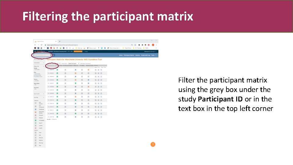 Filtering the participant matrix Filter the participant matrix using the grey box under the