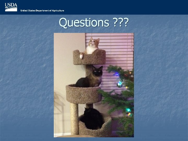 Questions ? ? ? 