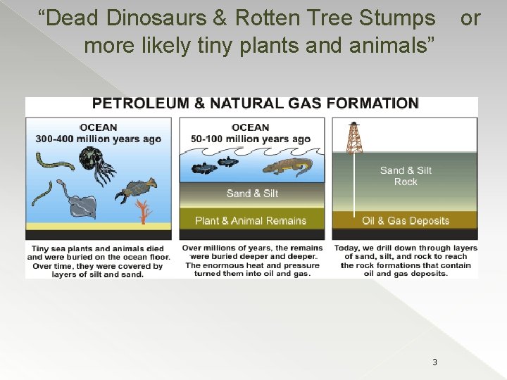 “Dead Dinosaurs & Rotten Tree Stumps more likely tiny plants and animals” 3 or