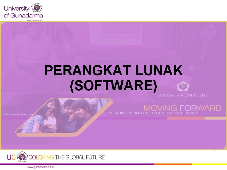 PERANGKAT LUNAK (SOFTWARE) 1 