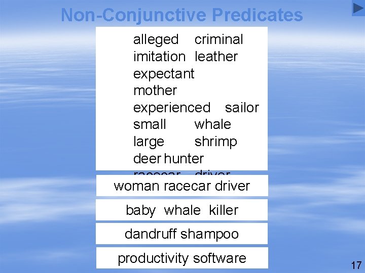 Non-Conjunctive Predicates Combinations alleged criminal imitation leather expectant mother experienced sailor small whale large