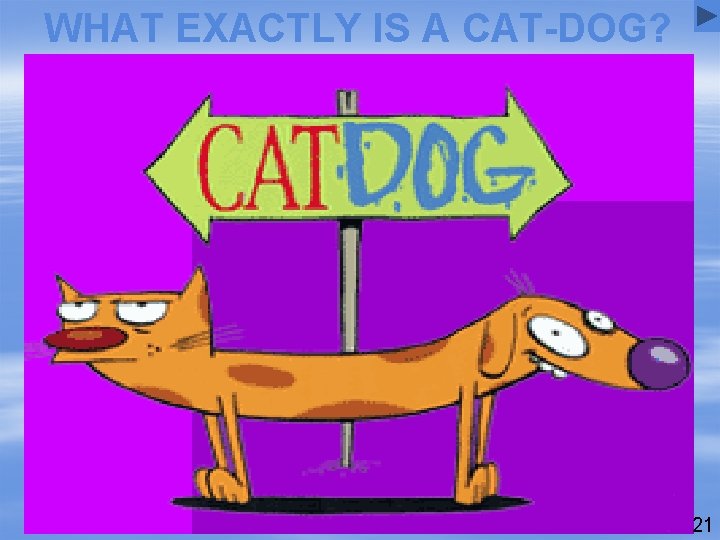 WHAT EXACTLY IS A CAT-DOG? 21 