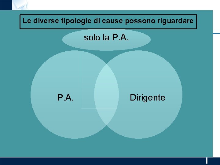 Le diverse tipologie di cause possono riguardare solo la P. A. Dirigente 