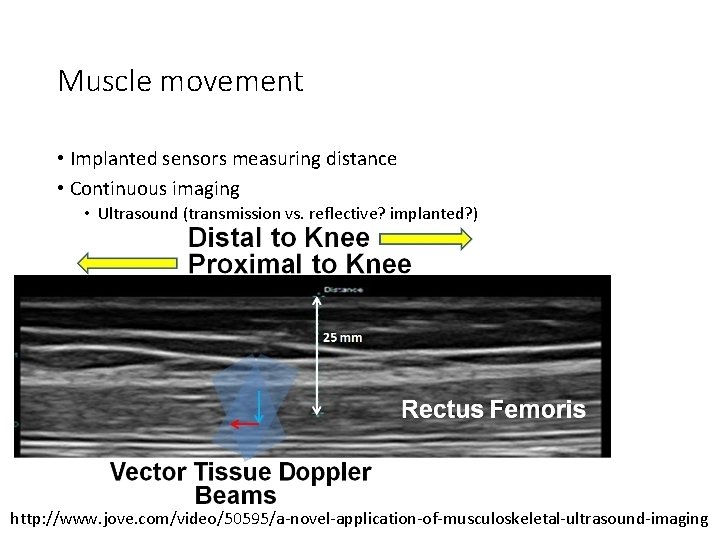 Muscle movement • Implanted sensors measuring distance • Continuous imaging • Ultrasound (transmission vs.