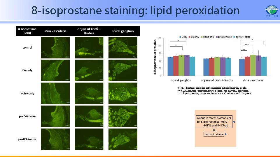 8 -isoprostane staining: lipid peroxidation *P <. 05, denoting comparison between control and individual