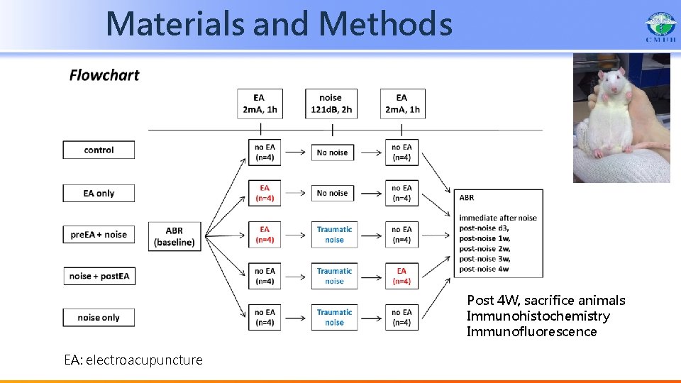 Materials and Methods Post 4 W, sacrifice animals Immunohistochemistry Immunofluorescence EA: electroacupuncture 
