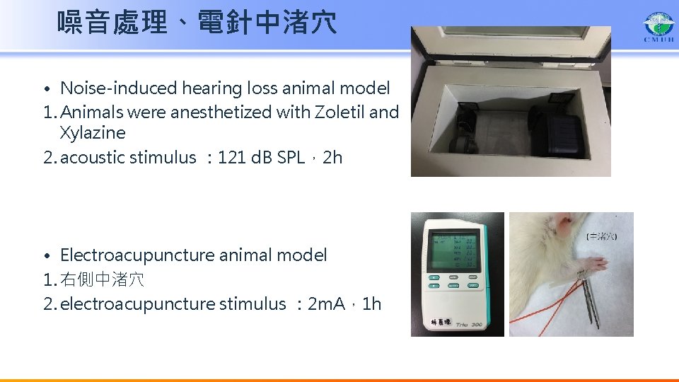 噪音處理、電針中渚穴 • Noise-induced hearing loss animal model 1. Animals were anesthetized with Zoletil and