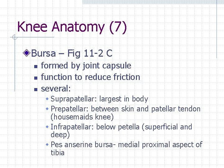 Knee Anatomy (7) Bursa – Fig 11 -2 C n n n formed by