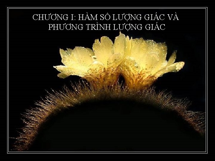 CHƯƠNG I: HÀM SỐ LƯỢNG GIÁC VÀ PHƯƠNG TRÌNH LƯỢNG GIÁC 