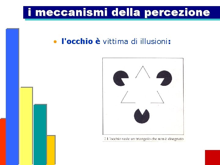 i meccanismi della percezione • l'occhio è vittima di illusioni: 