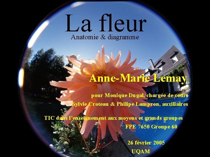 La fleur Anatomie & diagramme Anne-Marie Lemay pour Monique Dugal, chargée de cours Sylvie