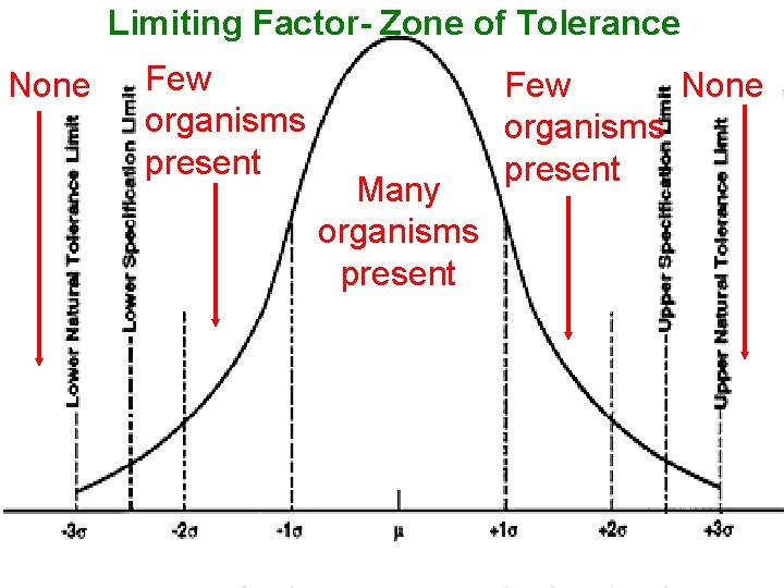 Limiting Factor- Zone of Tolerance None Few organisms present Many organisms present Few None