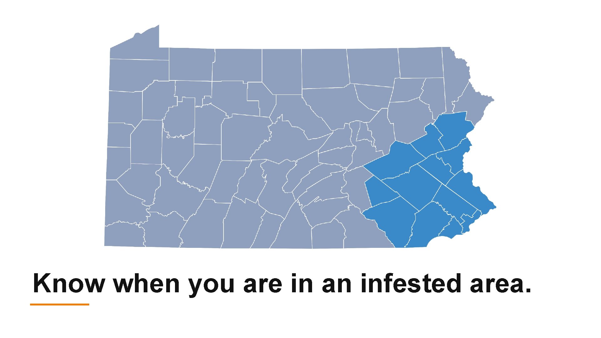 Know when you are in an infested area. 